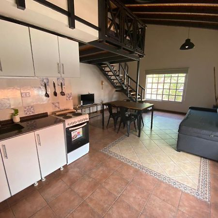 Luxury Loft Apartment Mendoza Exterior photo